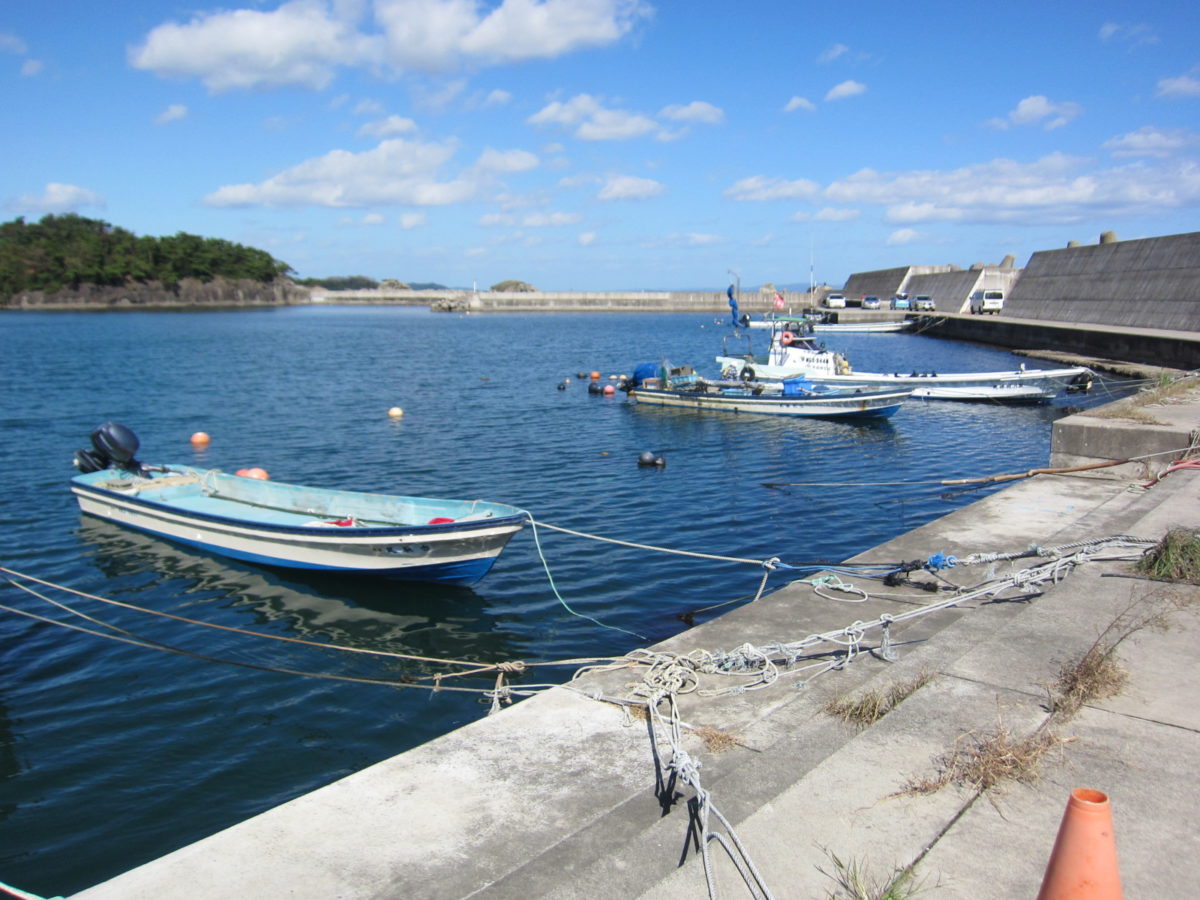 手樽海浜公園 – ほぼ日釣り日記 宮城